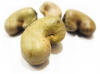 cashew nut